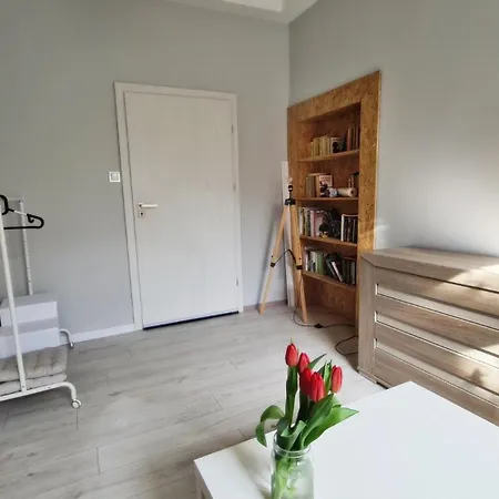 Lokum Z Ogrodem Apartman Płock