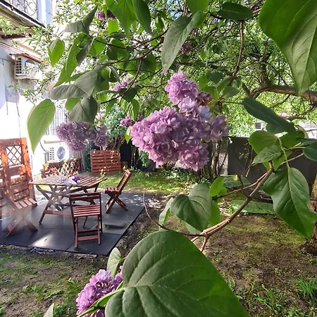 Lokum Z Ogrodem Плоцк